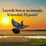 tusa dan - @dan.tusa65 - Instagram