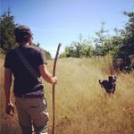Dan Tye - @lightresearch - Instagram