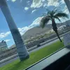 danieltyree_ - @danieltyree_ - TikTok