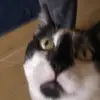 Daniel Uhlíř - @danieluhlíř - TikTok
