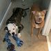 Dan Ullmann - Facebook