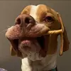 danullmann - @danullmann - TikTok