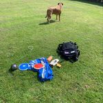 Dan Upton - @danuthrows - Instagram