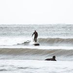 Dan Upton - @dan.upton - Instagram
