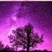 Dani Urbina - Facebook