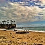 Dan urias - @ocbeachscene - Instagram