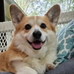 Dan Vader - @danvader_ - Instagram