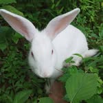 Dan Vai - @dan.vai.142 - Instagram
