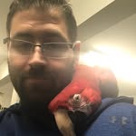 Dan Valente - @dan_val08 - Instagram