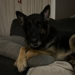 Dan Vallee - @flattenedace - Instagram