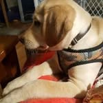 Dan Van Buskirk - @danvanb67 - Instagram