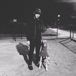 Daniel van Beek - @danvandal - Instagram