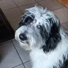 danvanderwal - @danvanderwal - TikTok