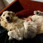 Dan VanDyke - @dan.vandyke.33 - Instagram