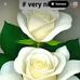 Dan Vargas - Facebook