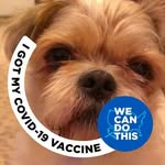Dan Varnum - @danvarnum - Instagram