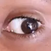 danvas koirien - @danvaskoirirn - TikTok