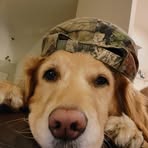 Dan Vatne - Facebook