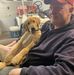 Dan Vaughan  - Facebook