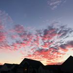 Dan Vaughan - @kdanvaughan - Instagram