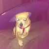 danvela - @danvela - TikTok