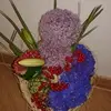 cv - @claudiadanvelcea - TikTok