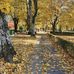 Velescu Dan - Facebook