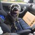 Dan Vella - Facebook