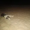 Dan Venables - @danvenables - TikTok