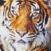 Danny Venema - Facebook