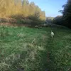 Daan_venhuizen - @daan_venhuizen - TikTok