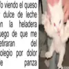 Daniel - @danvenoo - TikTok