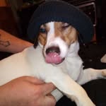 Dan Verge - @verge.dan - Instagram