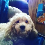 Dan Verge - @dan.verge - Instagram