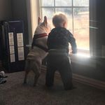 Dan Vernon - @dan.vernon.5 - Instagram