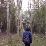 Dan Vernon - @mehandha - Instagram