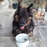 Dan Veselý - @czech_master1 - Instagram