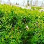Dan Veselý - @dan.vesely.77 - Instagram