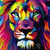 Dan veselý - @logorokon - TikTok