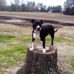 Daniel Vetter - Facebook