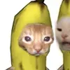 MIAUUUU - @danteviado - TikTok