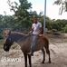 Daniel Vaqueiro - Facebook