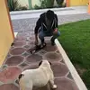 Dan Vicente - @dan.vicente5 - TikTok