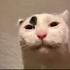 danvil - @villdannnnnnn - TikTok