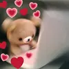 Dan Viner - @mofubbin - TikTok