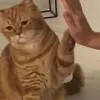Dan Viner - @danviner - TikTok
