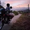Dan Viola - @dan.viola - TikTok