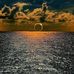 Dan Violette - Facebook