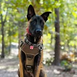 Dan Vitale - @mrjasper.the.maligator - Instagram