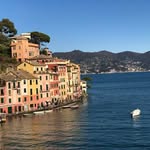 Dan Vitale - @graphicguy - Instagram